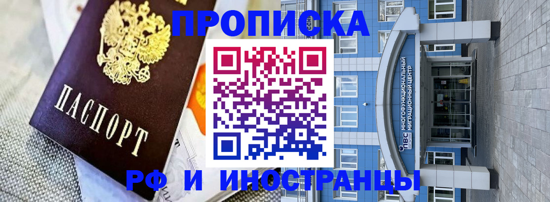 прописка законно в Камышлове